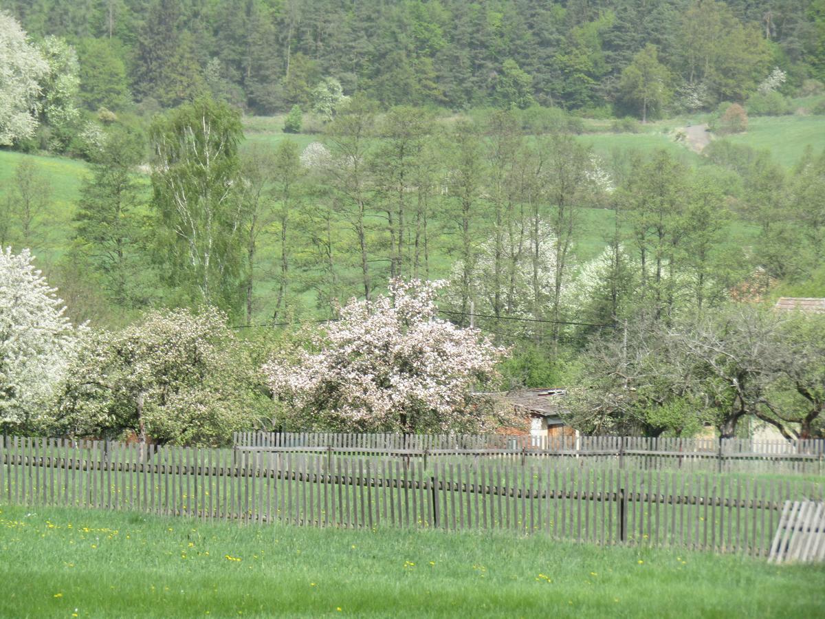Rekreacni Dum Brdy Vila Ohrazenice  Exterior foto