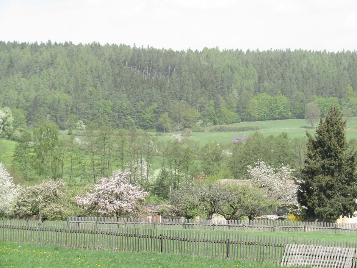 Rekreacni Dum Brdy Vila Ohrazenice  Exterior foto